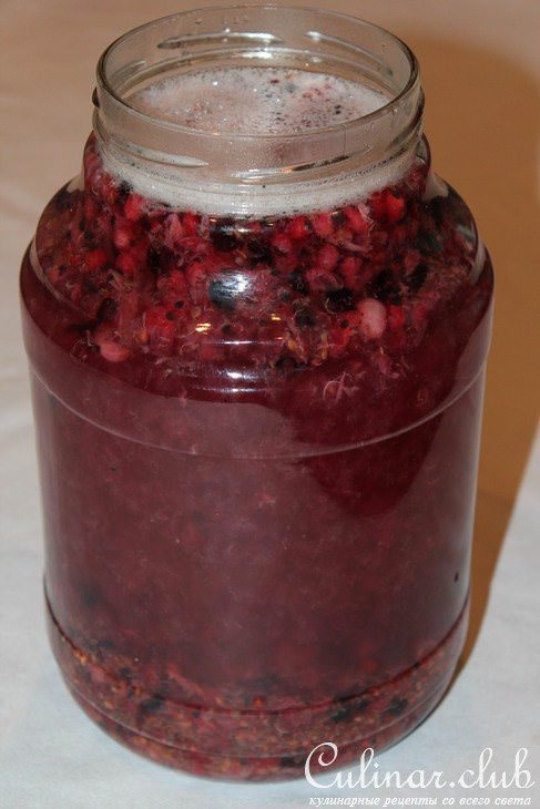 Квас дрожжевой из черной и красной смородины