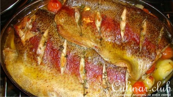 Форель, запеченная с чесночным картофелем и фенхелем. 