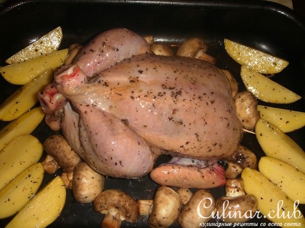 Ароматная курочка