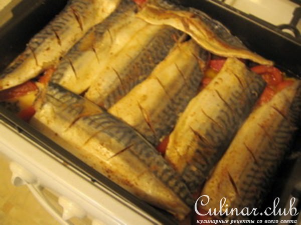 Скумбрия, жаренная с помидорами