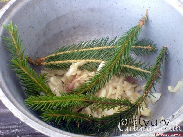 Шашлык дачный с еловыми ветками