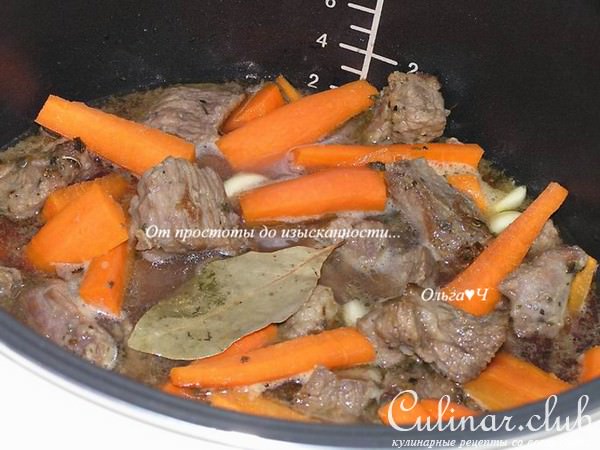 Рагу из говядины с морковью и мятой (в мультиварке)