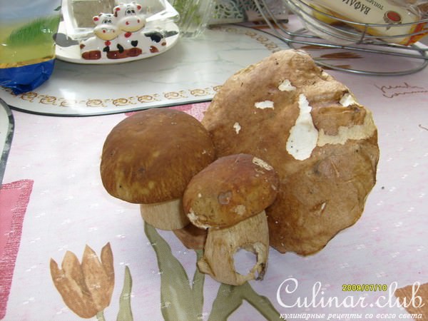 Мясные гнёзда с грибами.