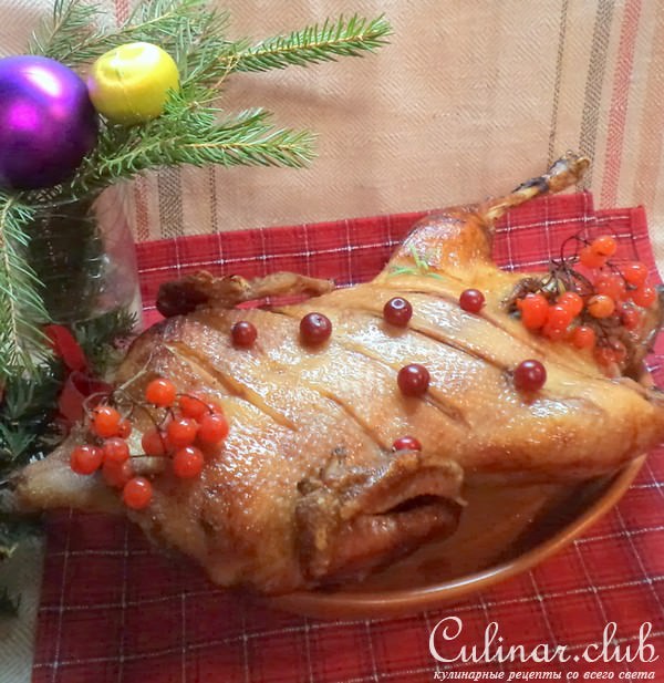 Рождественская утка с яблоками, клюквой и черносливом!
