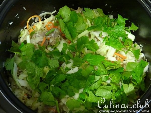 Капуста, тушеная с индейкой и рисом (тест-драйв Vitek)
