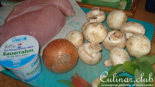 Грудка индюшки в грибном соусе CURRY