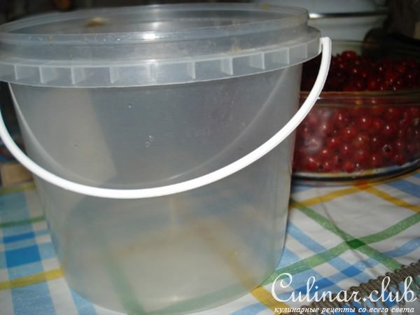 Желе из красной смородины