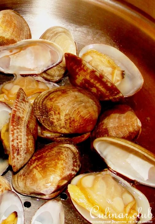 морские ракушки