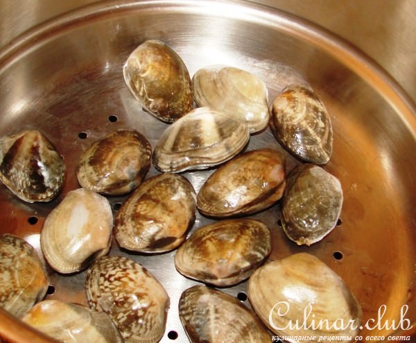 морские ракушки