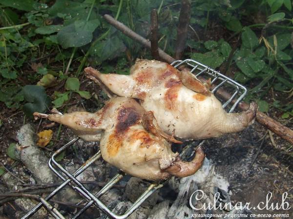 перепелки, маринованные в кефире и приготовленные на открытом огне