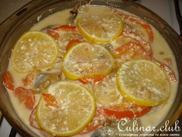 СКУМБРИЯ ПО-ФЛАМАНДСКИ