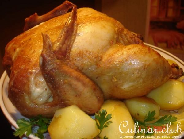 Золотая курочка на пиве