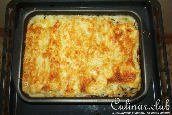 Лазанья с курицей и грецкими орехами