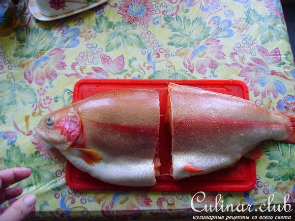 Золотая рыбка (почти в прямом смысле) 