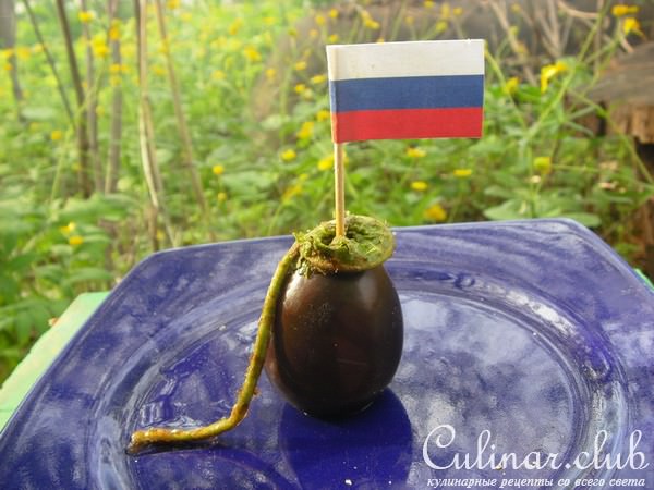 папортник соленый