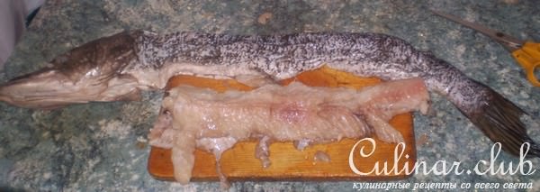 фаршированная щука