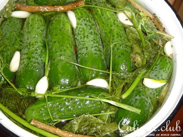 Огурцы малосольные - рецепт моей прабабушки
