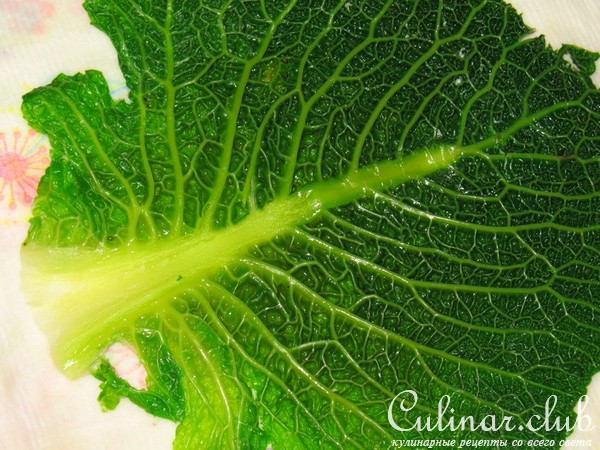 Голубцы из савойской капусты с креветками. Холодная закуска
