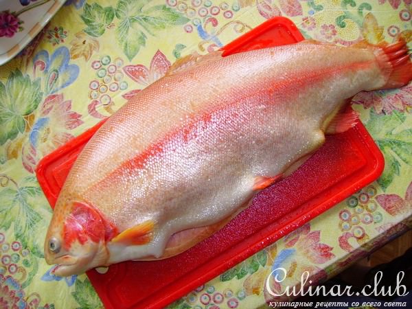 Золотая рыбка (почти в прямом смысле) 