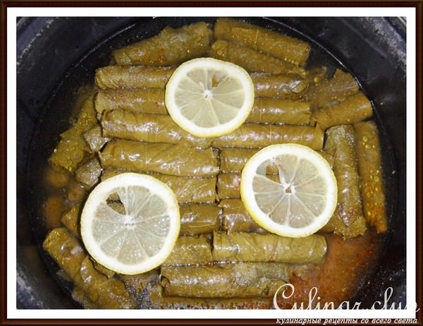 Yaprak sarma (сарма из виноградных листьев)Традиционная турецкая!