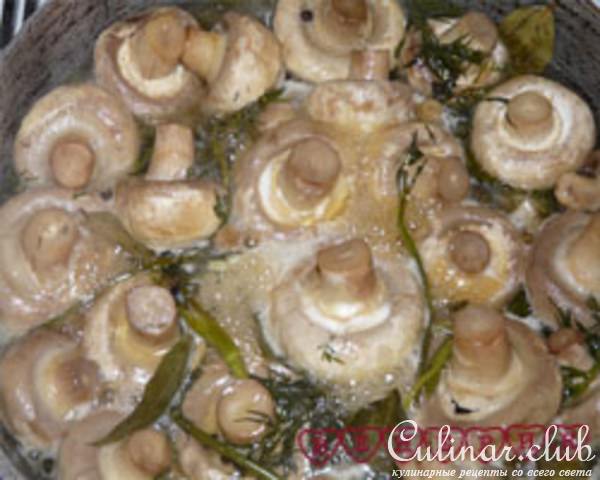 Мировые грибочки