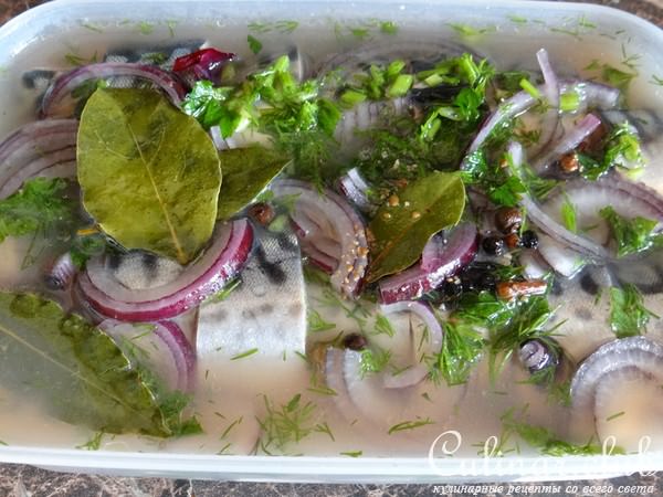 Скумбрия пряного-мокрого посола (вариант)