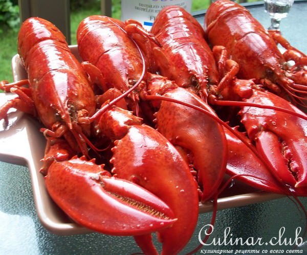 Lobster Rolls / Lobster Sandwich /Сандвич с мясом лобстера.
