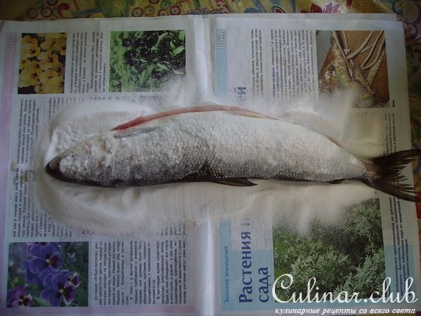 Байкальский омуль солёный