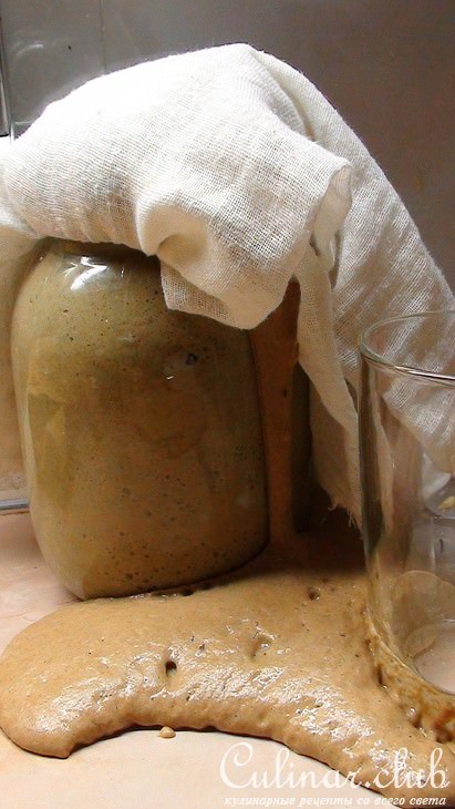 Медово-овсяные кексы с черной смородиной, на квасной закваске! Полезное чаепитие!