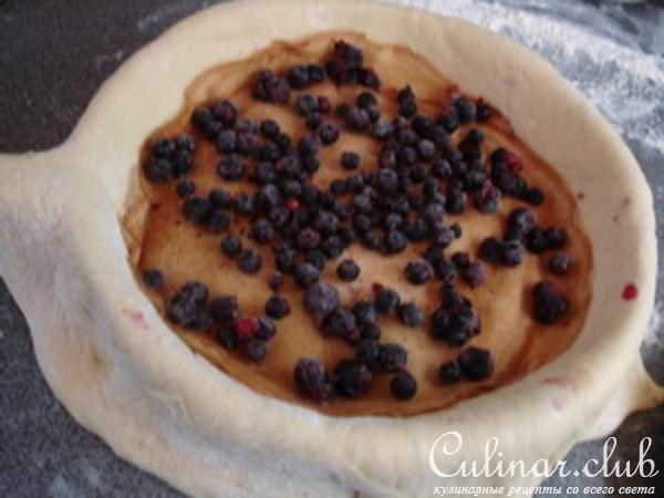 Пирог с курицей и смородиной.