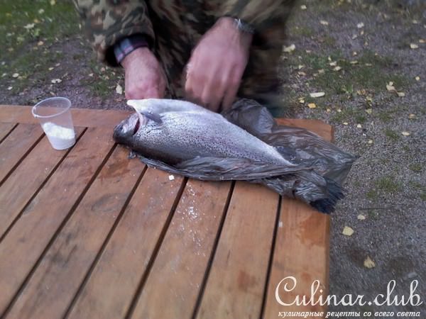 Форель копченая по Карельски