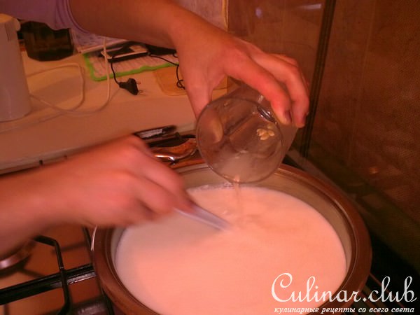 Обезжиреный МОЙ СЫР (ВАРИАНТ)