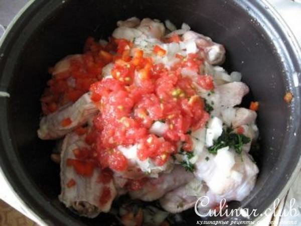 Шашлык из куриных крылышек
