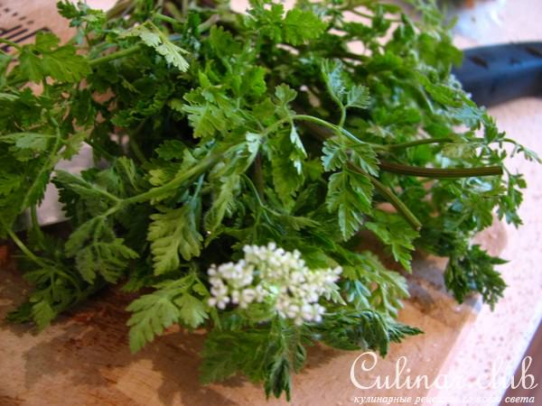 Ореховый кус-кус с сельдереем и горной кинзой 