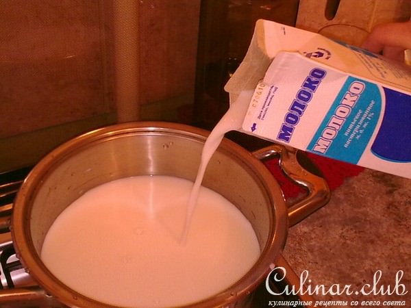 Обезжиреный МОЙ СЫР (ВАРИАНТ)
