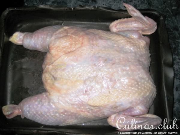 Нежненькая курочка