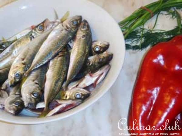 Ставрида черноморская - вкусная, одетая в кукурузное пальто