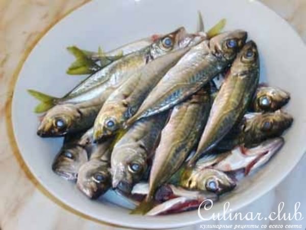 Ставрида черноморская - вкусная, одетая в кукурузное пальто