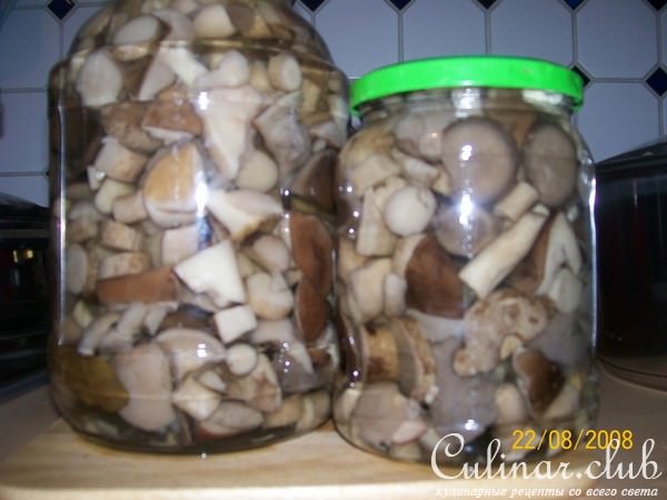 Маринованные грибочки
