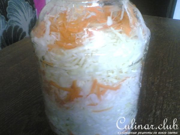 Капуста на скорую руку или капуста круглый год.