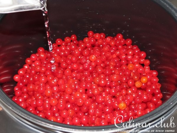 Бабушкины пирожки с калиной(Тест-драйв)