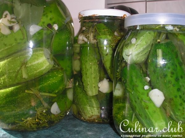 Солёные огурцы в банках