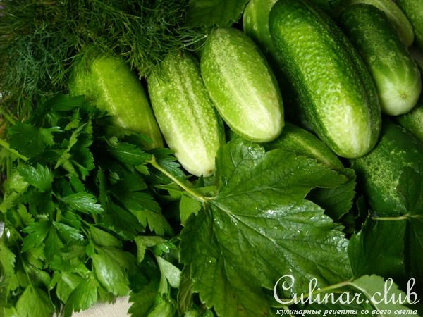 Рулетики из переросших огурцов