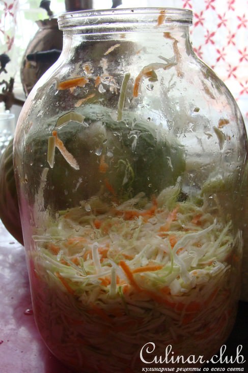 Капуста"Быстрая"