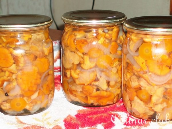 лисички маринованные