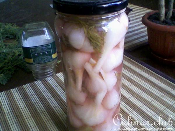 Маринованный чесночок со свеклой