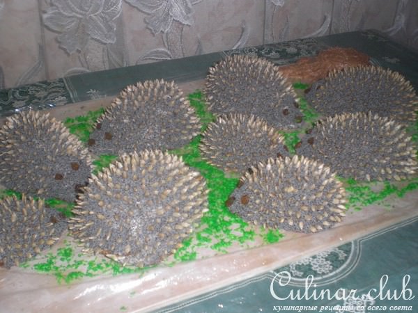 Колючая семейка