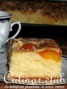 -  (Aprikosen-Butterkuchen)